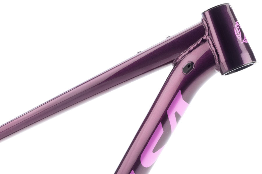 Salsa Timberjack Frame - 29"/27.5, Aluminum, Deep Orchid