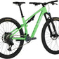 Salsa Spearfish C Deluxe GX AXS Transmission Bike - 29", Carbon, Citrus Green