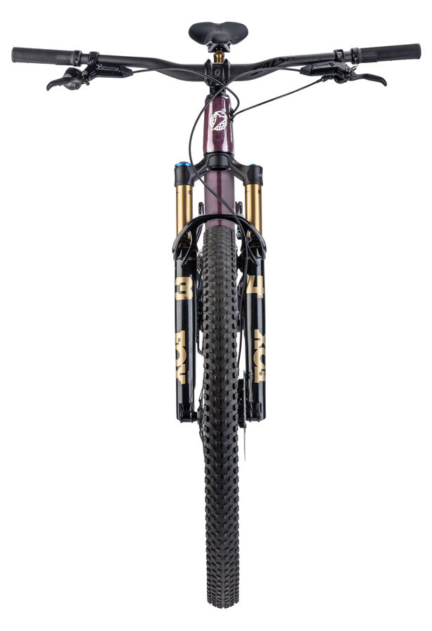 Salsa Spearfish C DLX X0 AXS Transmission Bike - 29", Carbon, Deep Orchid Carbon