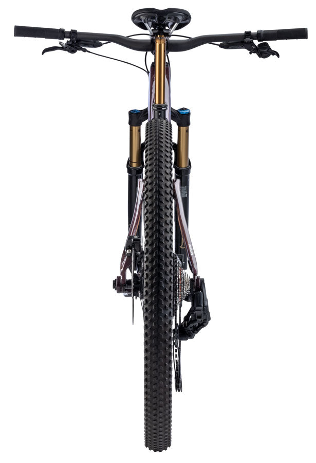 Salsa Spearfish C DLX X0 AXS Transmission Bike - 29", Carbon, Deep Orchid Carbon