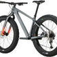 Salsa Beargrease Carbon Cues 11 Fat Bike - 27.5", Carbon, Gray