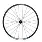 Enve AG28 Carbon Tubeless Disc-Brake Wheel Set (650b)