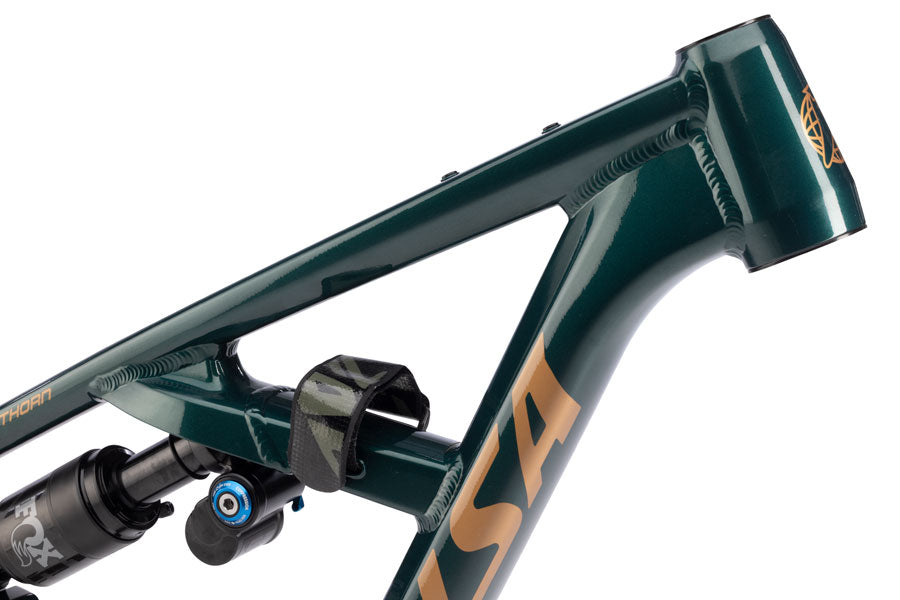 Salsa Blackthorn 145 Frame - Aluminum, Black Spruce