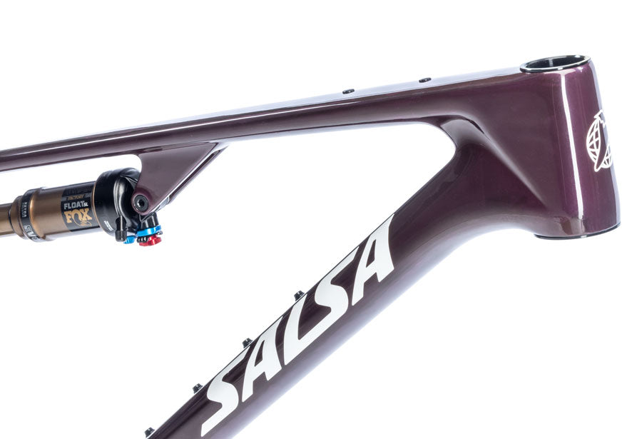Salsa Spearfish C DLX Frame - 29", Carbon, Deep Orchid Carbon
