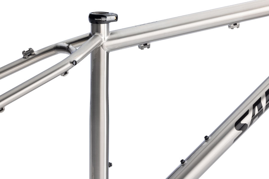 Salsa Fargo Ti Frameset - 29", Titanium, Brushed Titanium