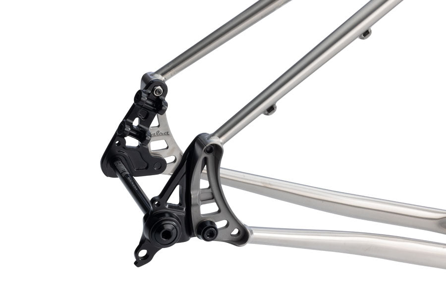 Salsa Fargo Ti Frameset - 29", Titanium, Brushed Titanium