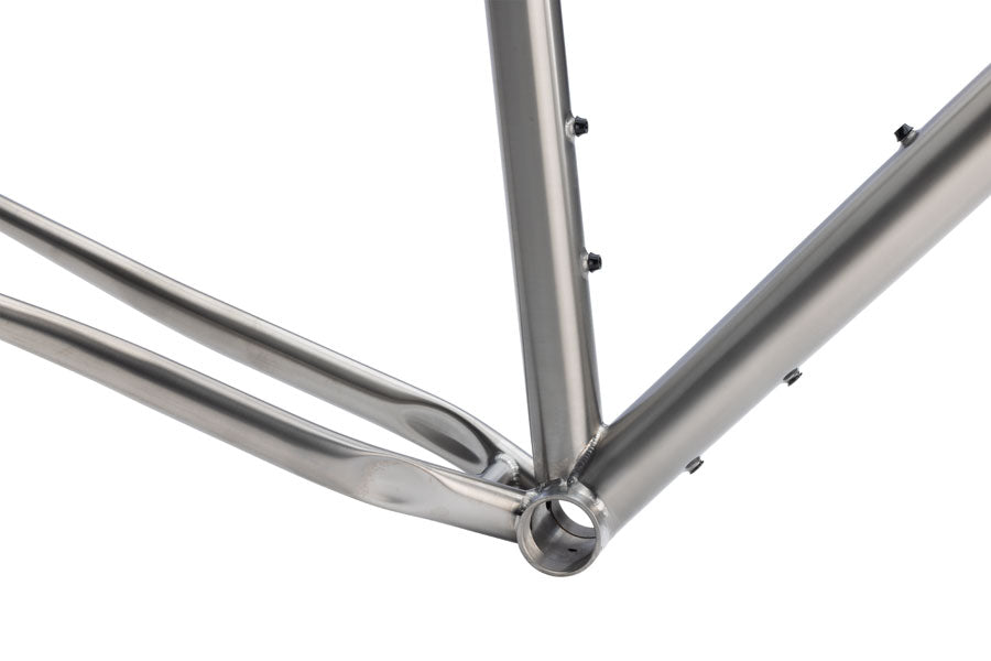 Salsa Fargo Ti Frameset - 29", Titanium, Brushed Titanium