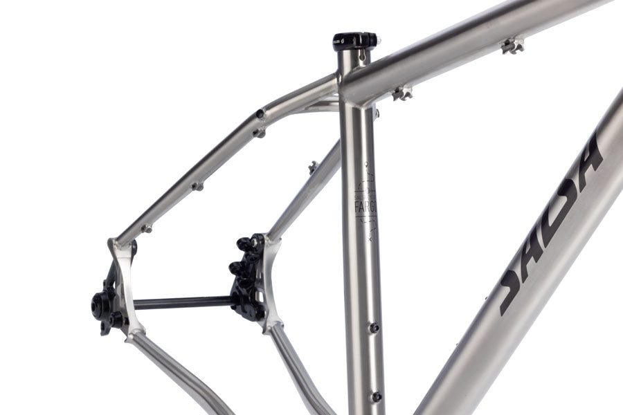 Salsa Fargo Ti Frameset - 29", Titanium, Brushed Titanium