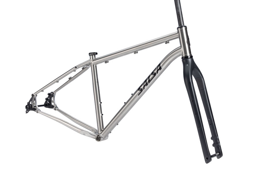 Salsa Fargo Ti Frameset - 29", Titanium, Brushed Titanium