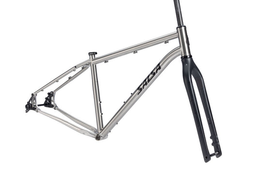 Salsa Fargo Ti Frameset - 29", Titanium, Brushed Titanium